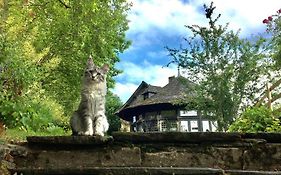 Bed And Breakfast A Rochefort-En-Terre